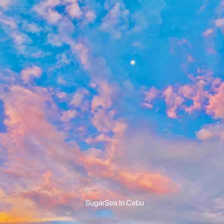 Sugarsea Inn & Dive Shop ماكتان المظهر الخارجي الصورة